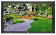   Panasonic TH-50PF11RK