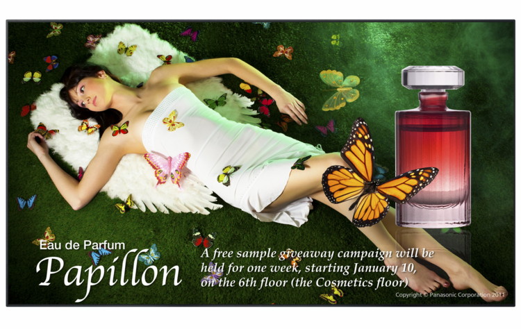 ���������������� D-LED LCD ������ Panasonic TH-55LFV50W � ������ ����� ������ - ��� �������