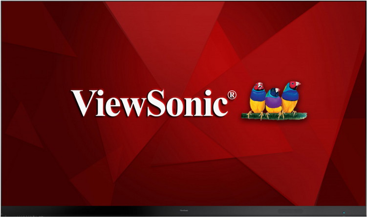 ���������������� LED ������ ViewSonic LD216-251 - ��� �������