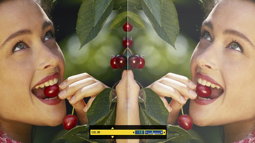 �������� Panasonic PT-AE4000E - ���������� �������� ������������� ������� �� � ����� ���������.